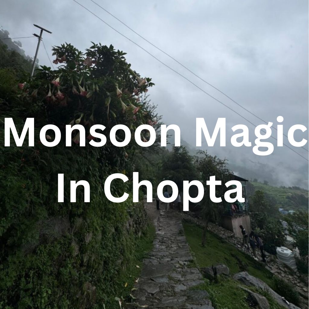 Monsoon Magic in Chopta – Clouds, Green Valleys & Adventure